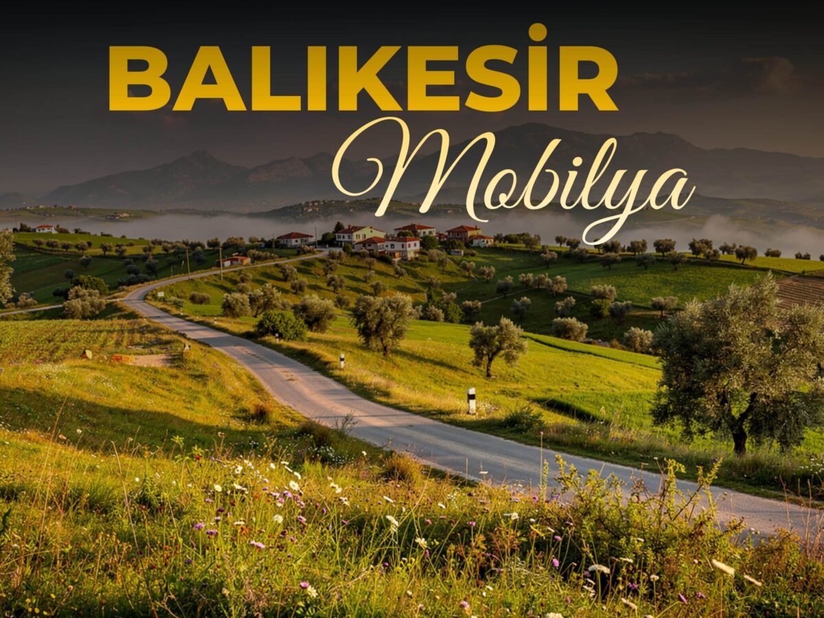 balıkesir mobilya