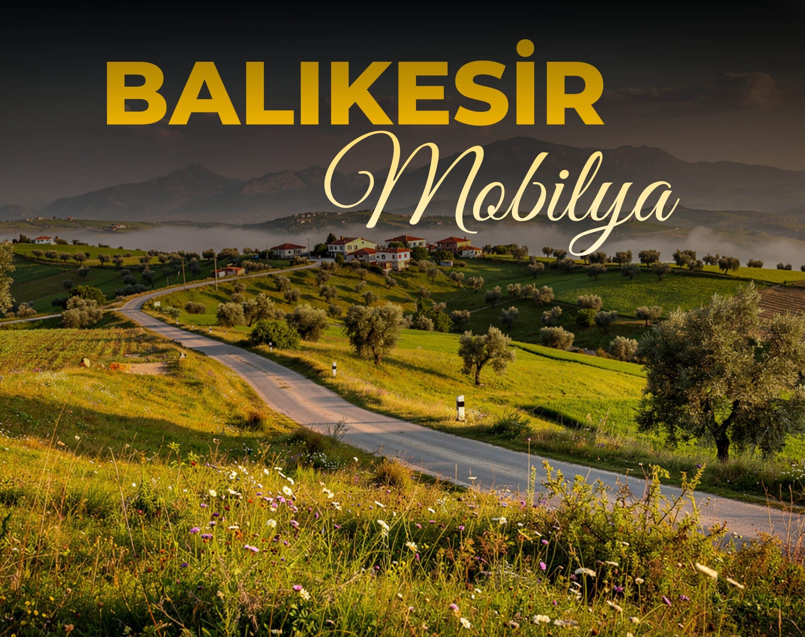 balıkesir mobilya