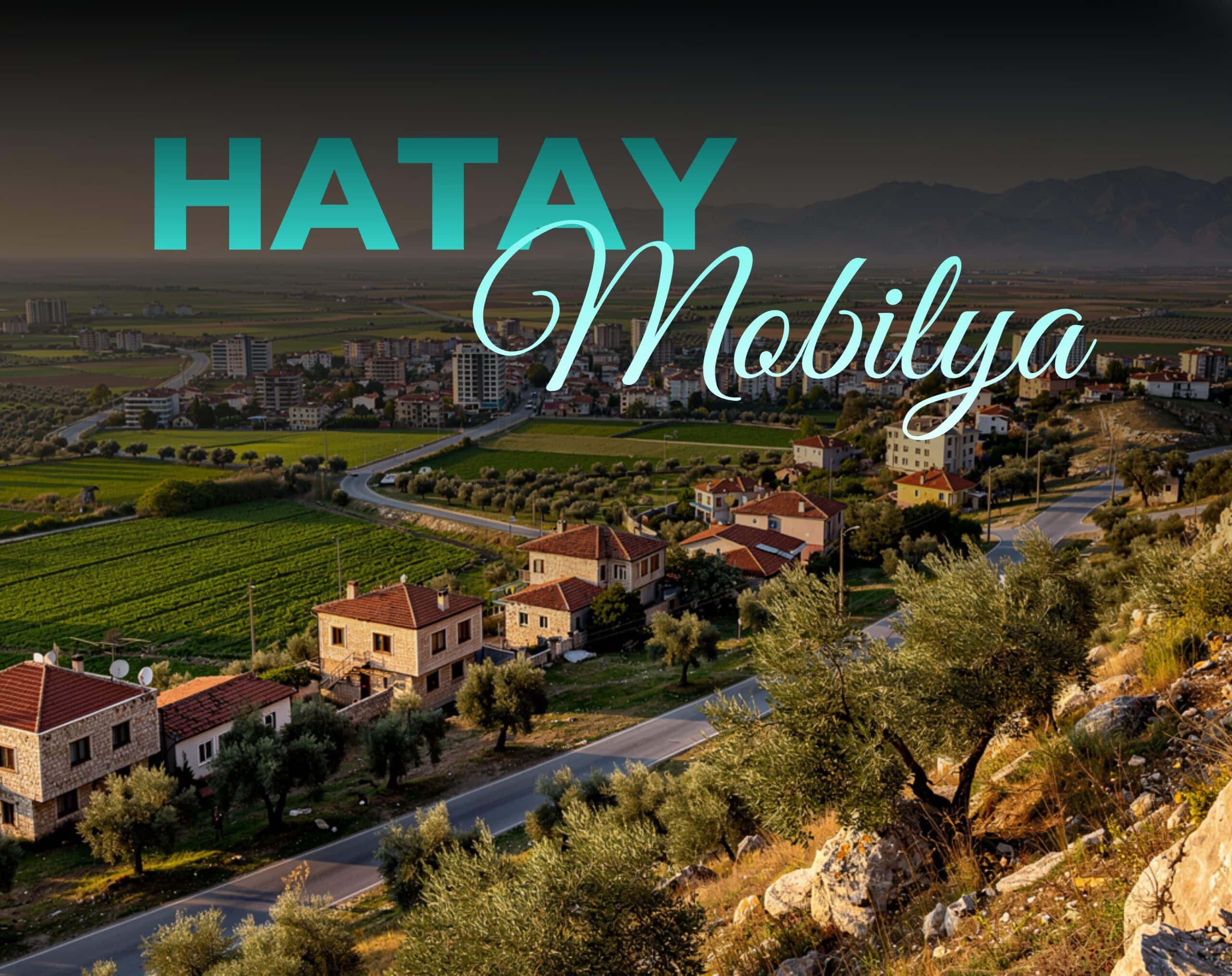 hatay mobilya