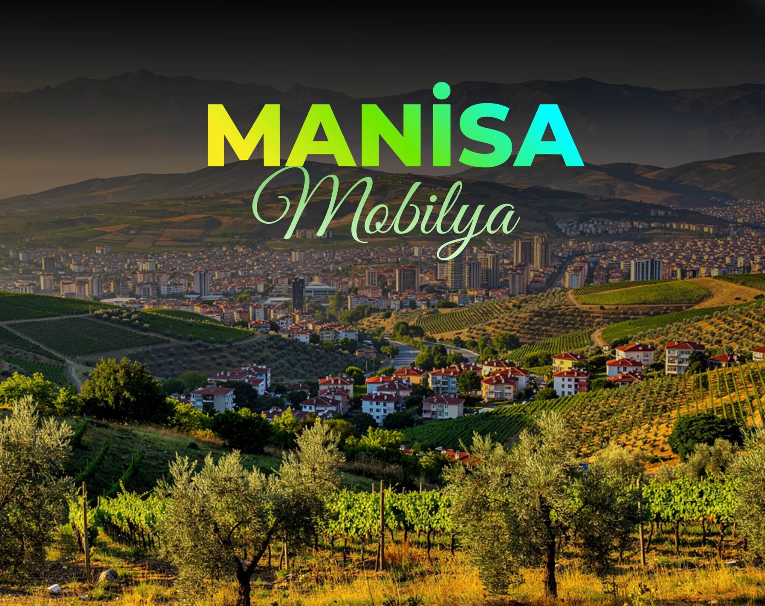 manisa mobilya