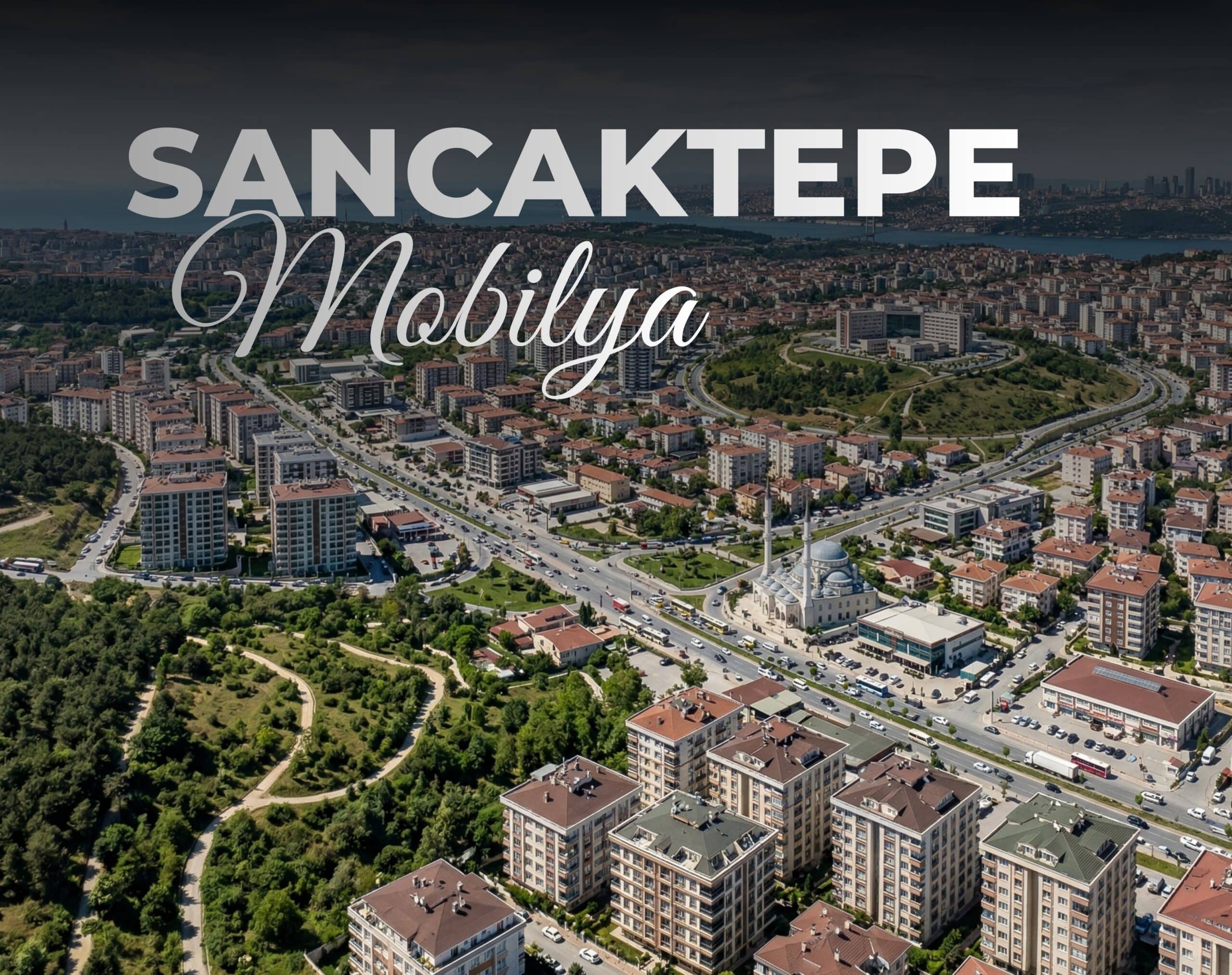 sancaktepe mobilya