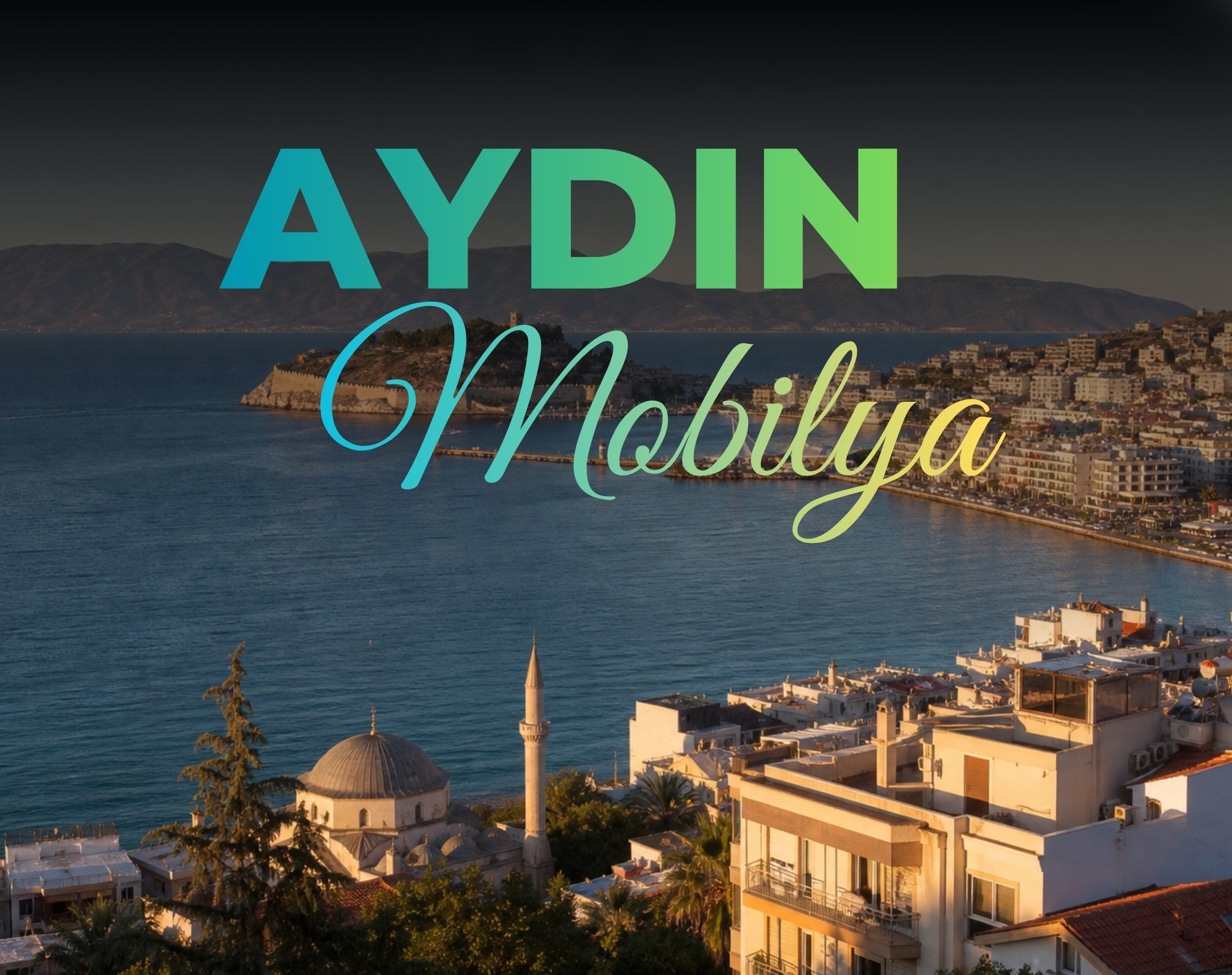 aydın mobilya